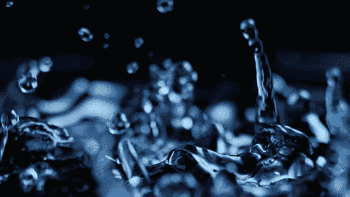 4.gif