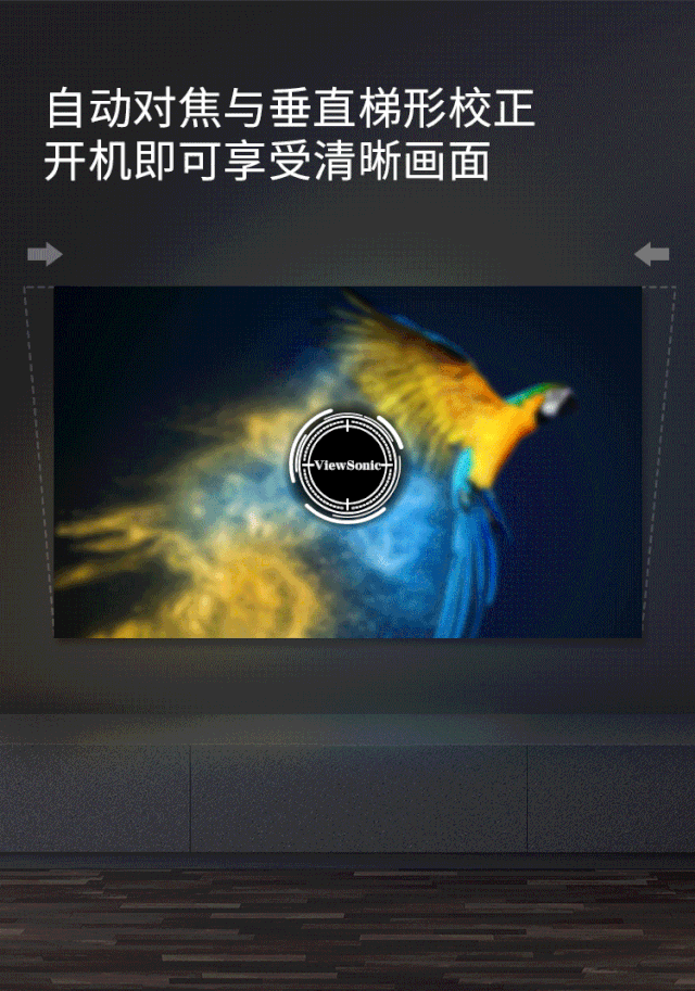 6.gif