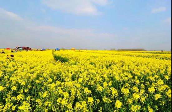 微信图片_20200403102047.jpg
