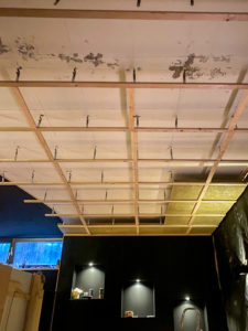 jenss-10-decke-225x300.jpg