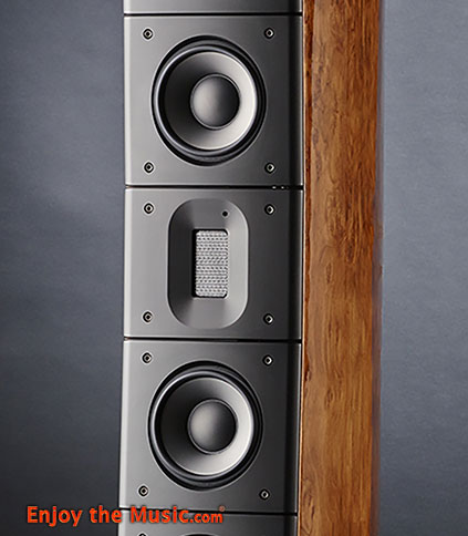 Raidho_TD42_Floorstanding_Loudspeakers_tweeter_midranges.jpg