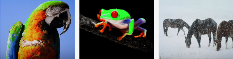 22.png