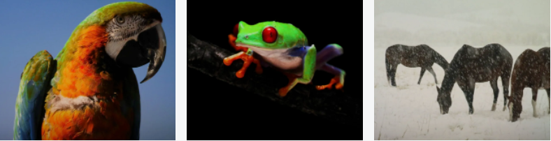 24.png