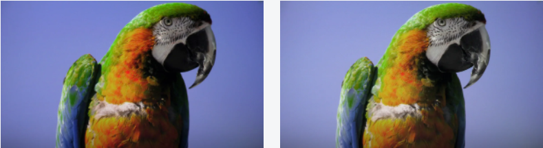 29.png
