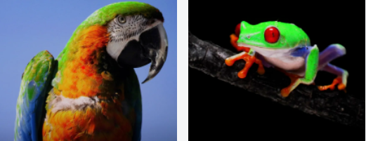26.png