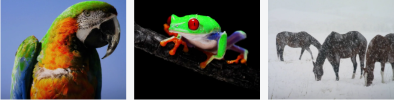 23.png