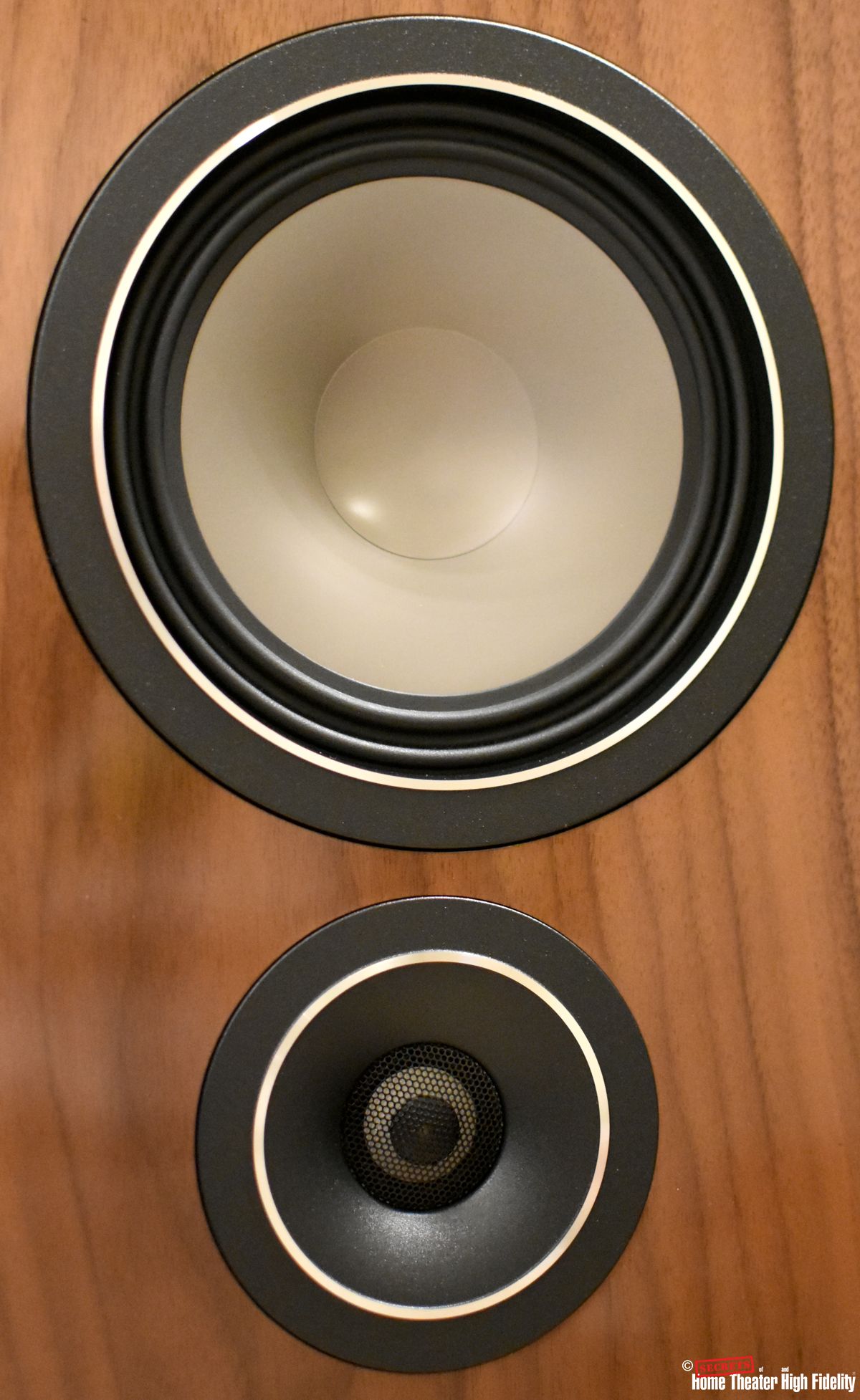 Figure-3-Canton-Vento-100-midrange-and-tweeter-close-up.jpg