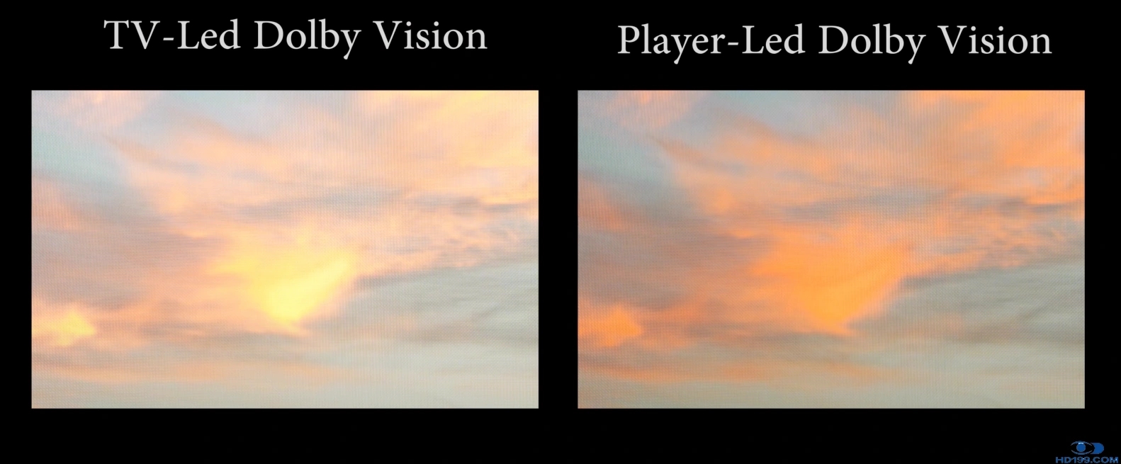 8.webp.jpg