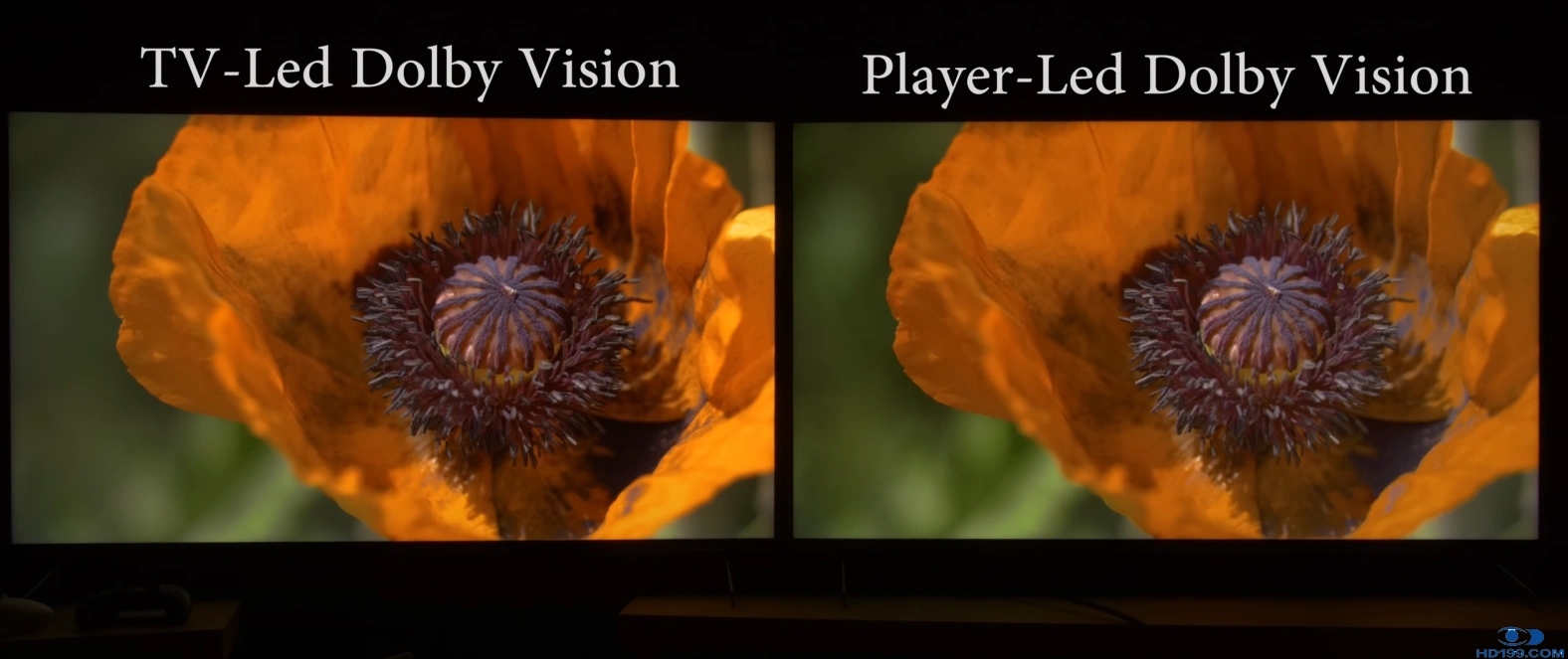 6.webp.jpg