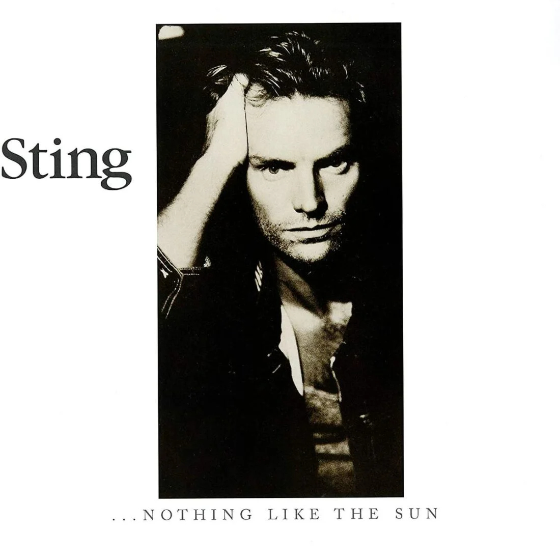 Sting — ...Nothing Like the Sun (From_ Amazon).jpg