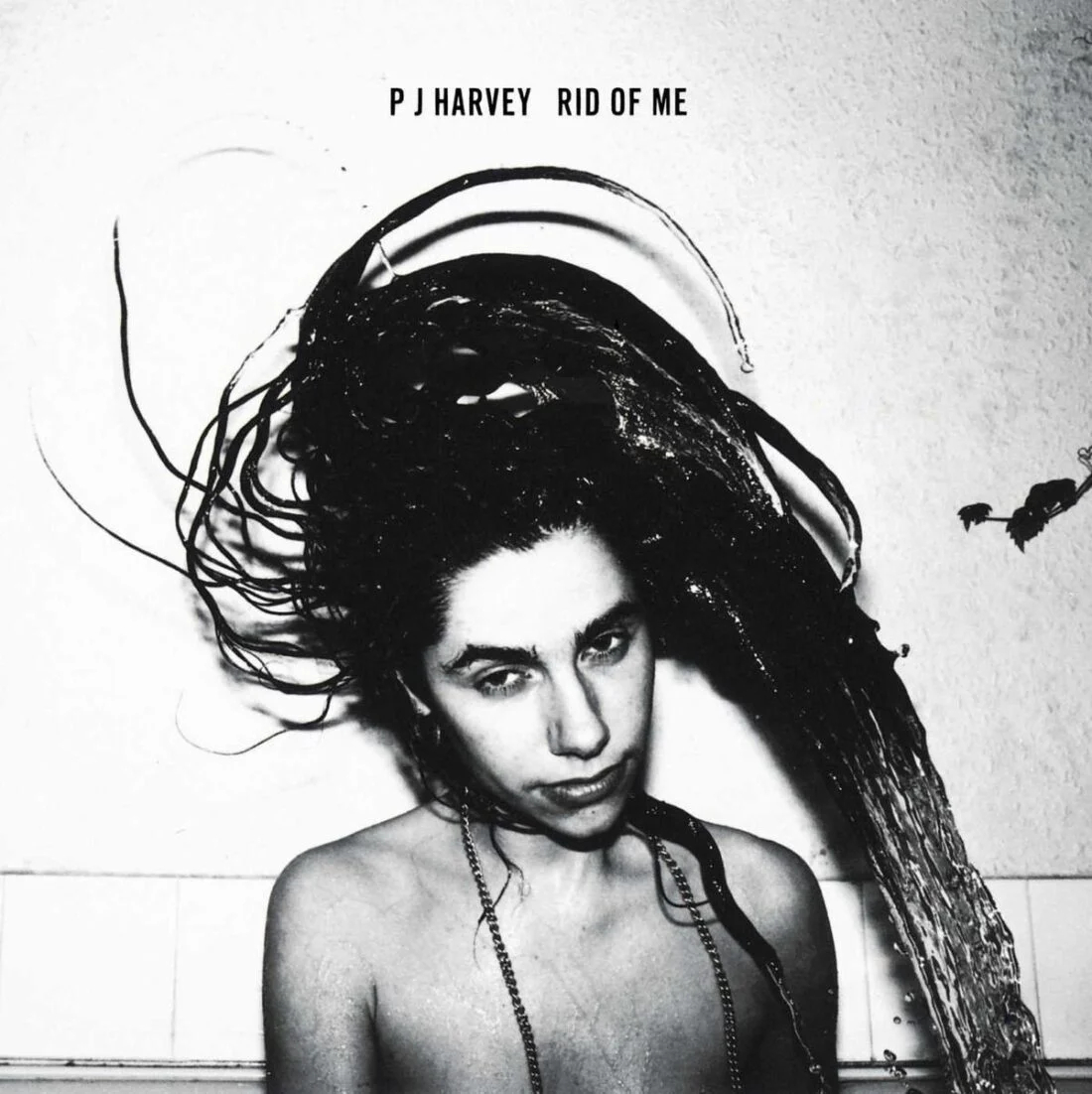 PJ Harvey — Rid of Me (From_ Amazon).jpg