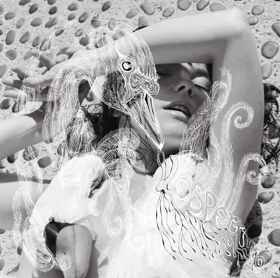 Björk — Vespertine (From_ Amazon).jpg